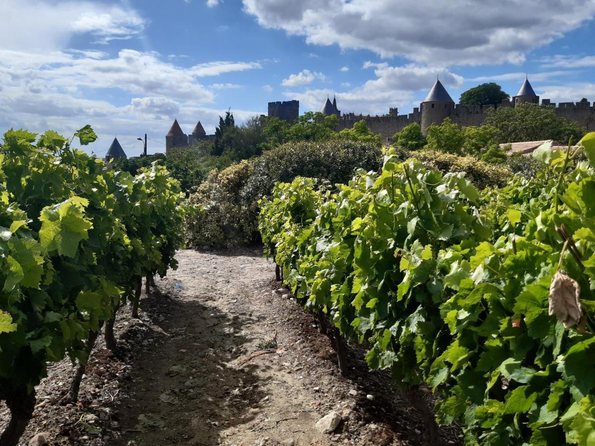 Domaine Fontgrande Gite Carcassonne Luaran gambar