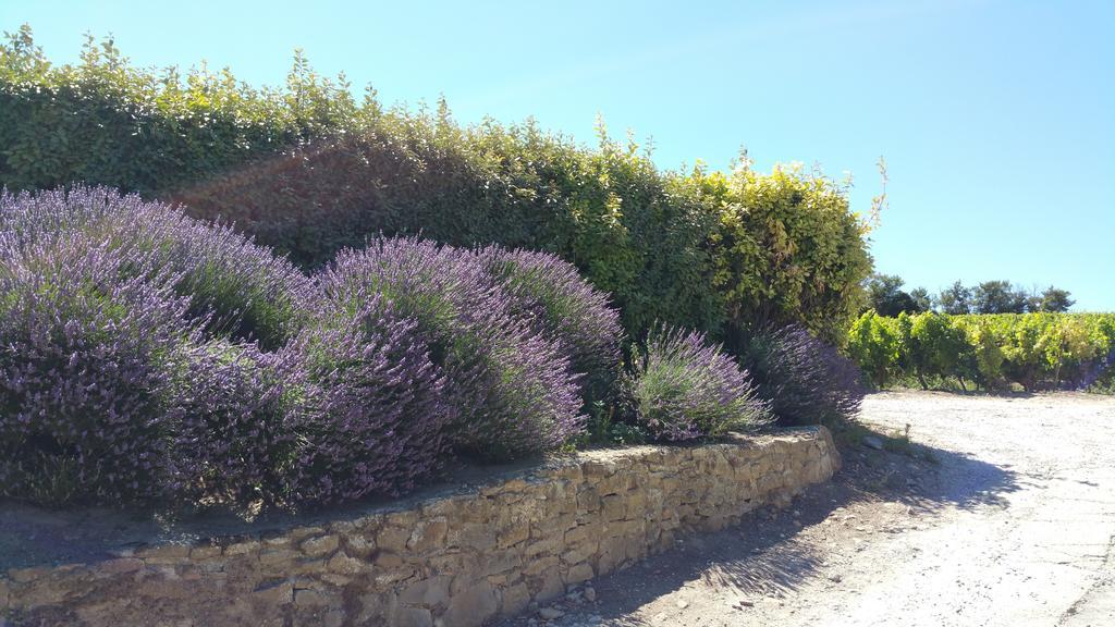 Domaine Fontgrande Gite Carcassonne Bilik gambar