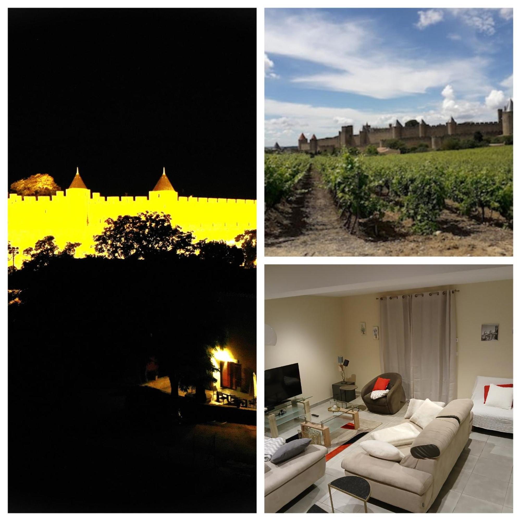 Domaine Fontgrande Gite Carcassonne Luaran gambar