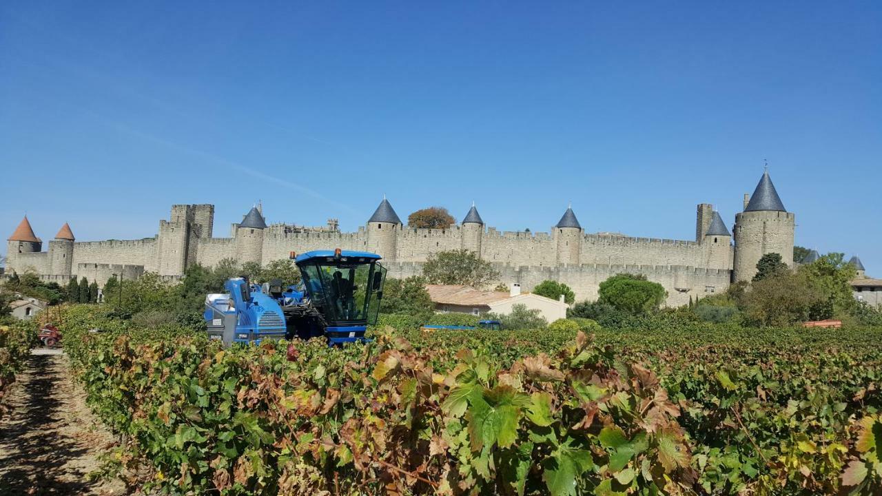 Domaine Fontgrande Gite Carcassonne Luaran gambar