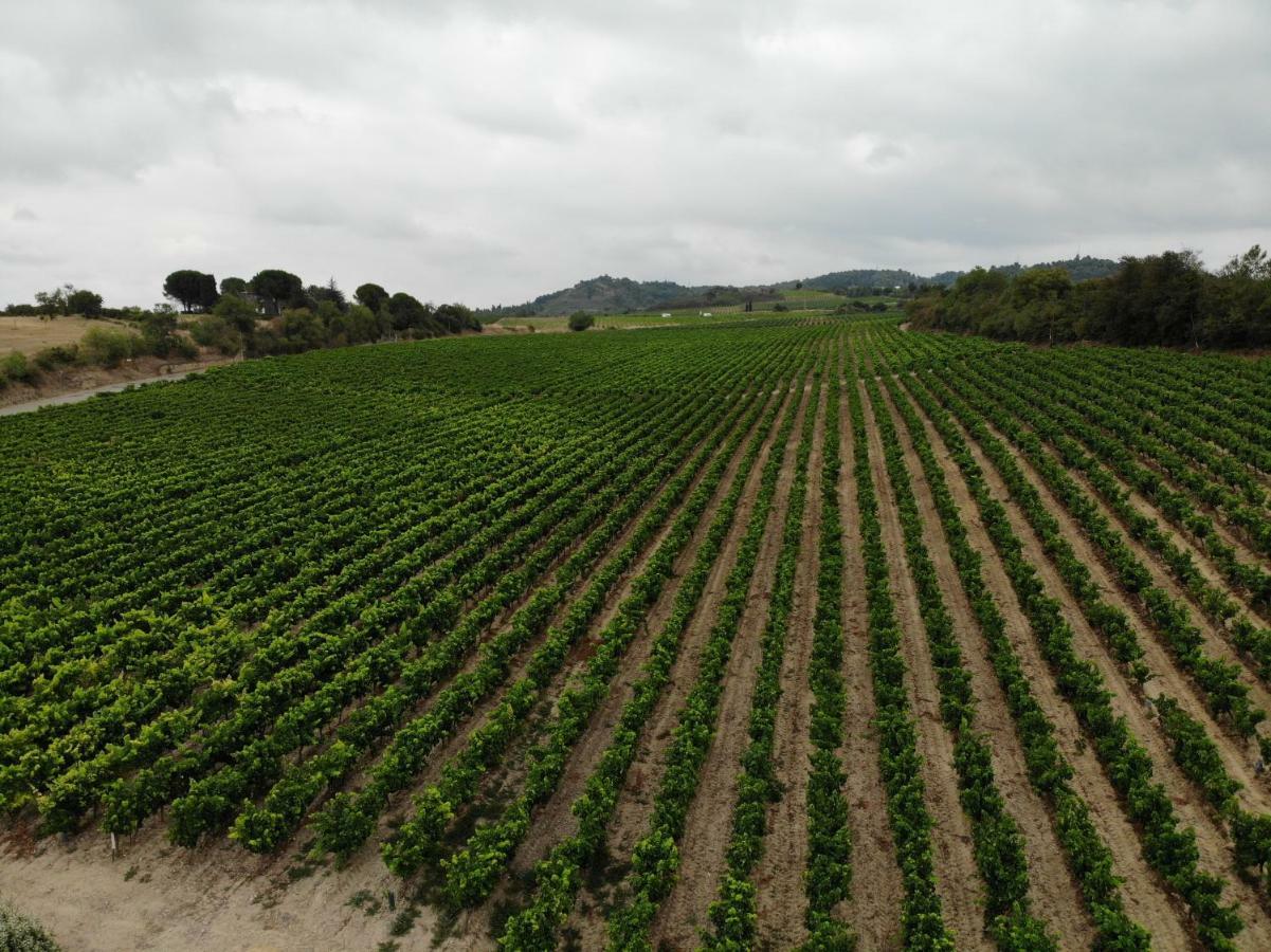 Domaine Fontgrande Gite Carcassonne Luaran gambar
